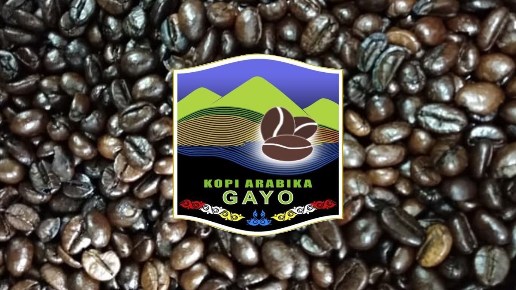 Gayo Arabica Coffee
