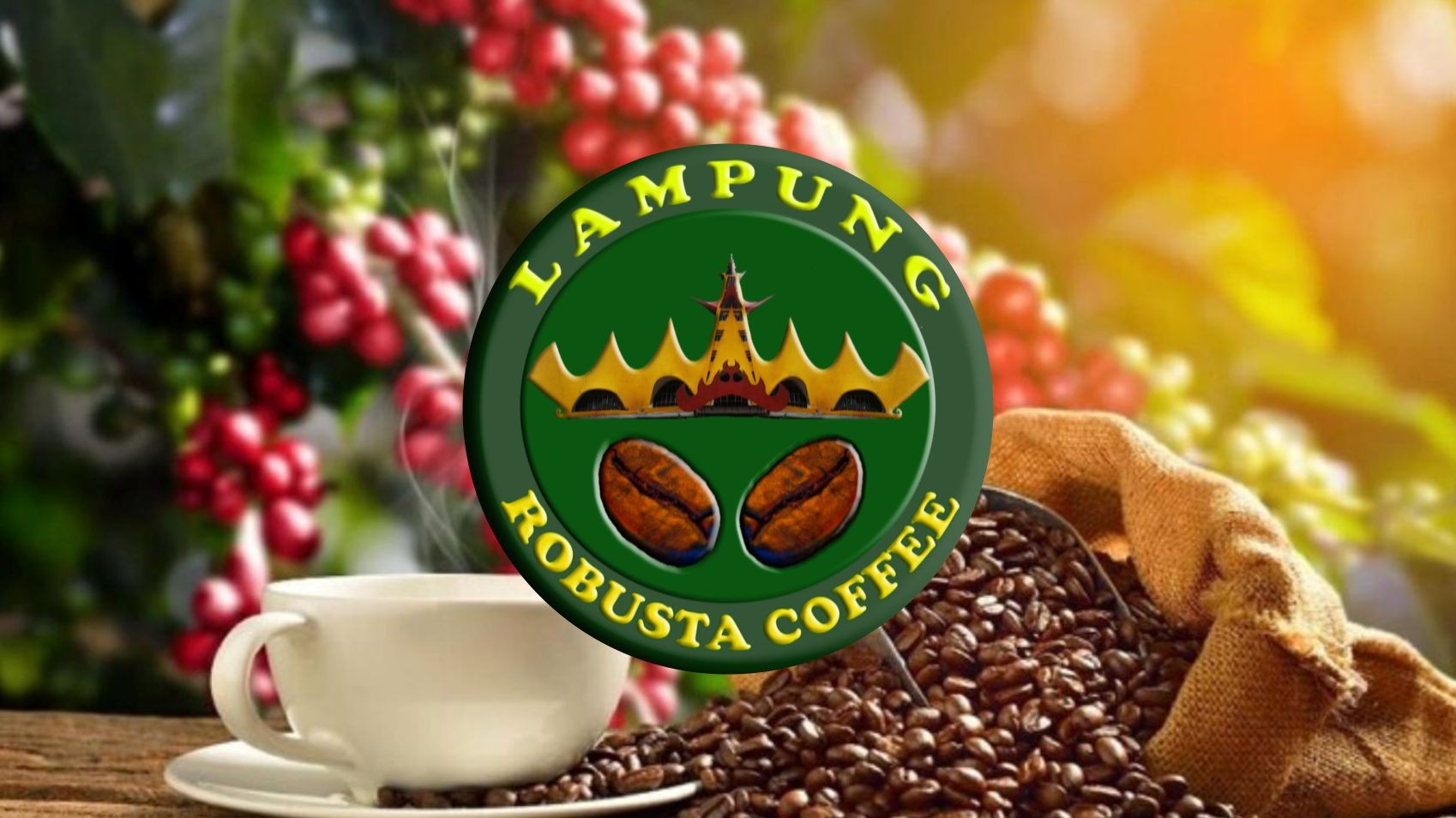 Lampung Robusta Coffee