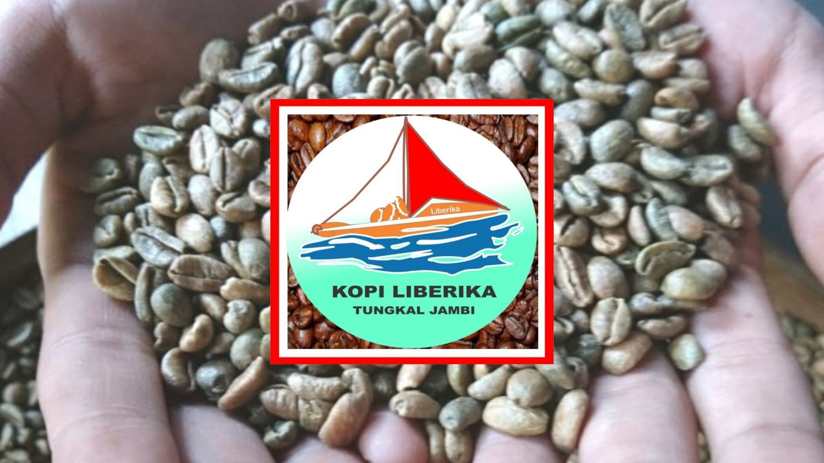 Tungkal Jambi Liberica Coffee