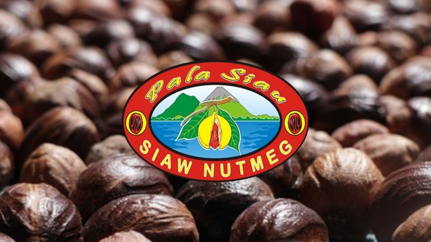 Siau Nutmeg