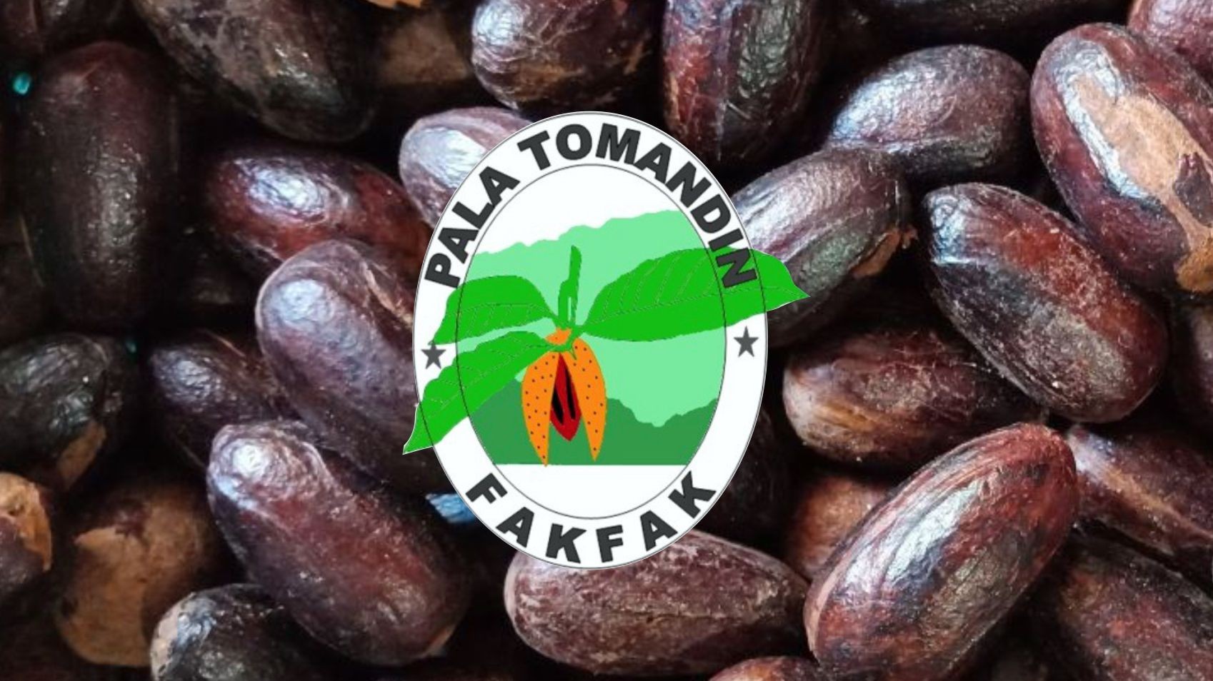 Tomandin Fakfak Nutmeg