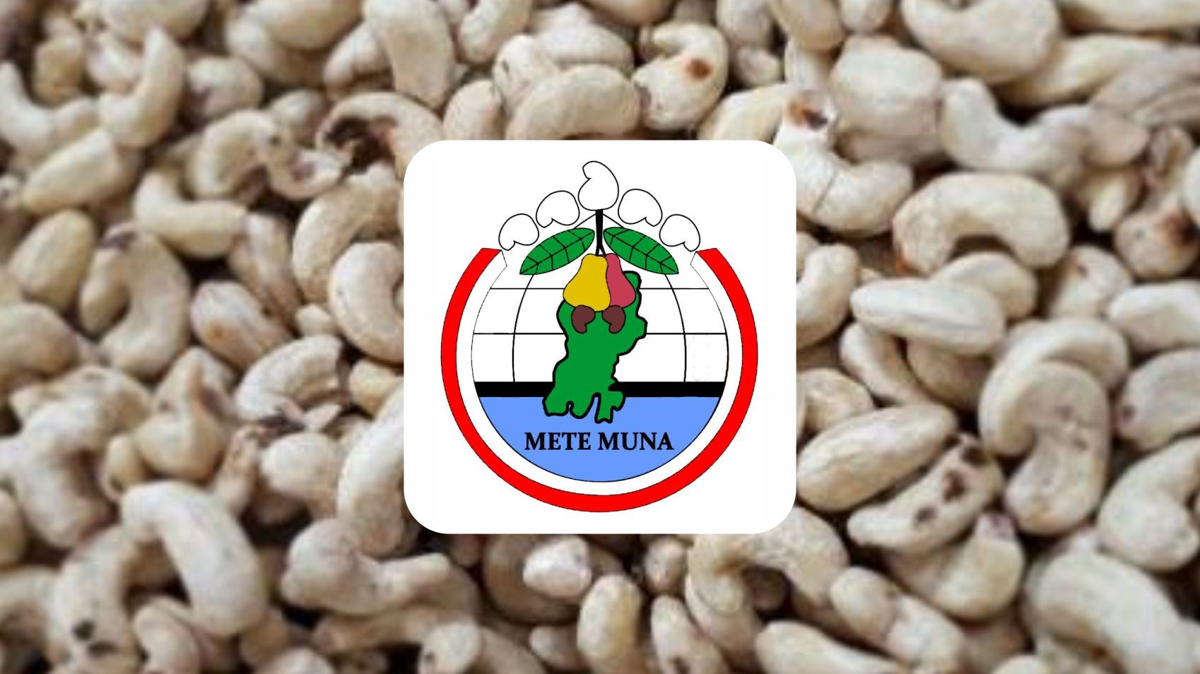 Muna Cashew