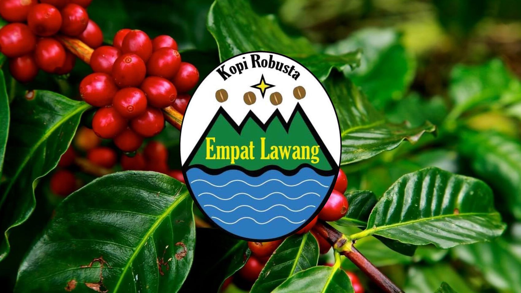 Empat Lawang Robusta Coffee