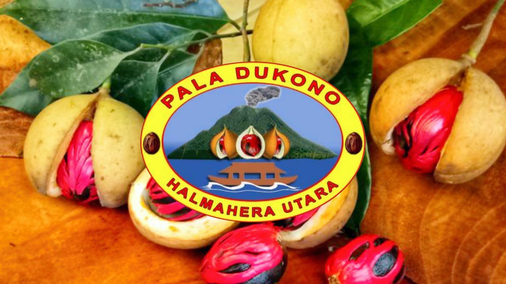 North Halmahera Dukono Nutmeg