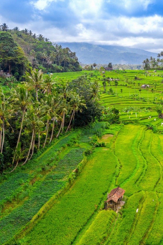 INDONESIA GEOGRAPHICAL INDICATIONS
