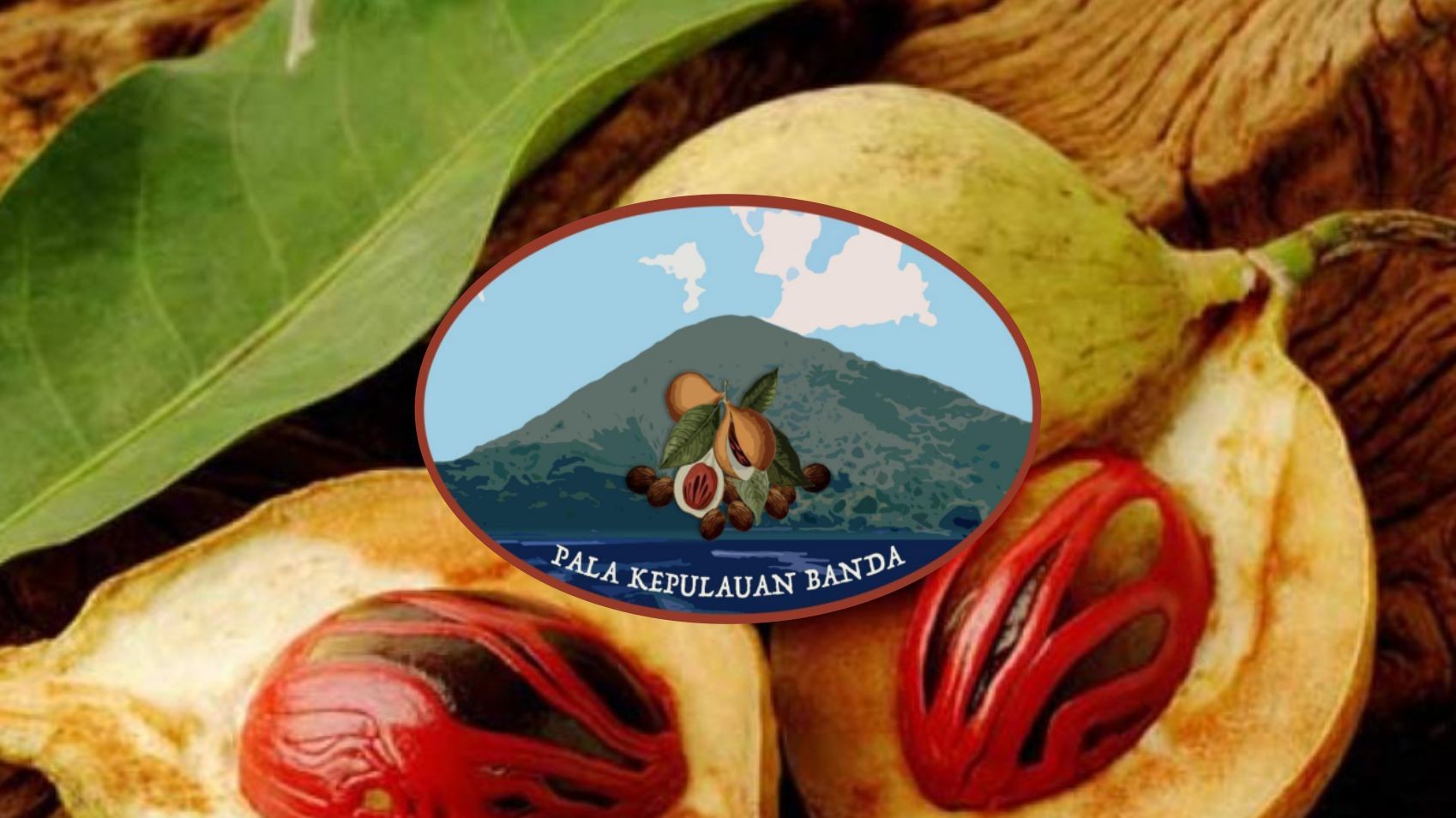 Banda Island Nutmeg