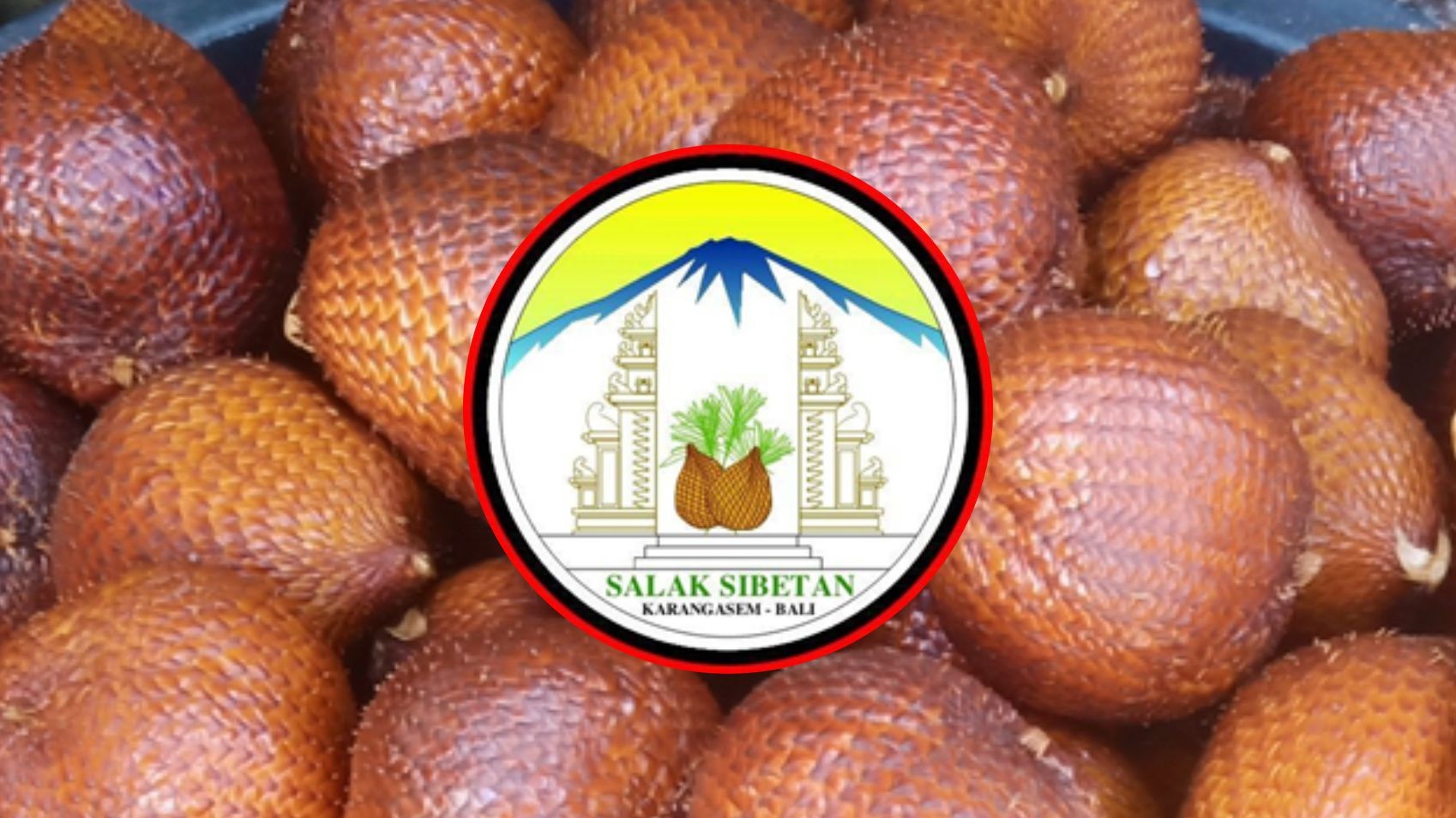 Sibetan Karangasem Bali Snake Fruits